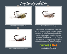 Load image into Gallery viewer, Tungsten Jig Selection
