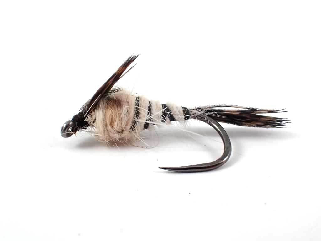 Walker Mayfly Nymph