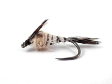 Load image into Gallery viewer, Walker Mayfly Nymph
