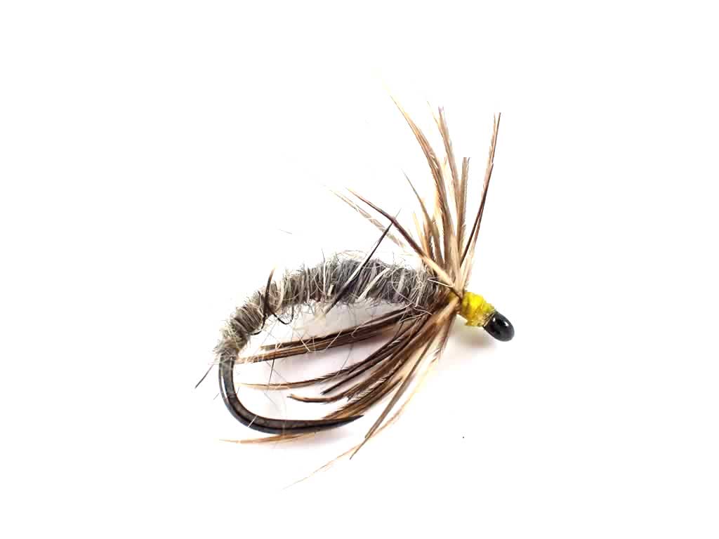 Waterhen Bloa