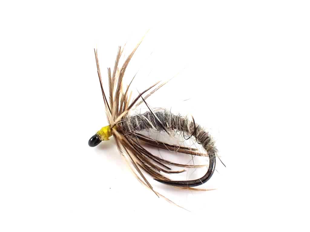 Waterhen Bloa