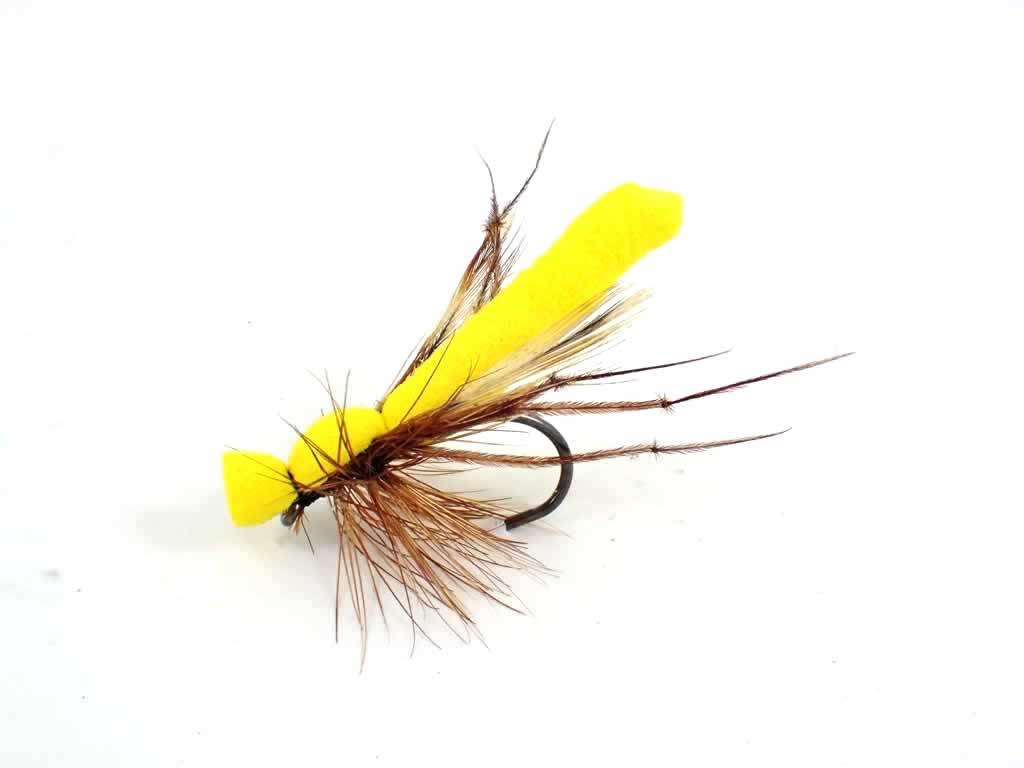 Yellow Daddy
