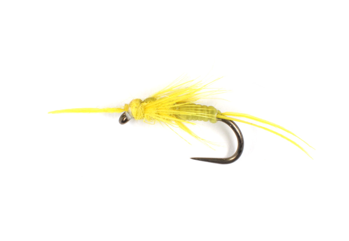 Yellow Sally Stonefly