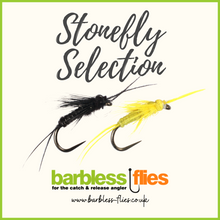 Load image into Gallery viewer, Stonefly Selection
