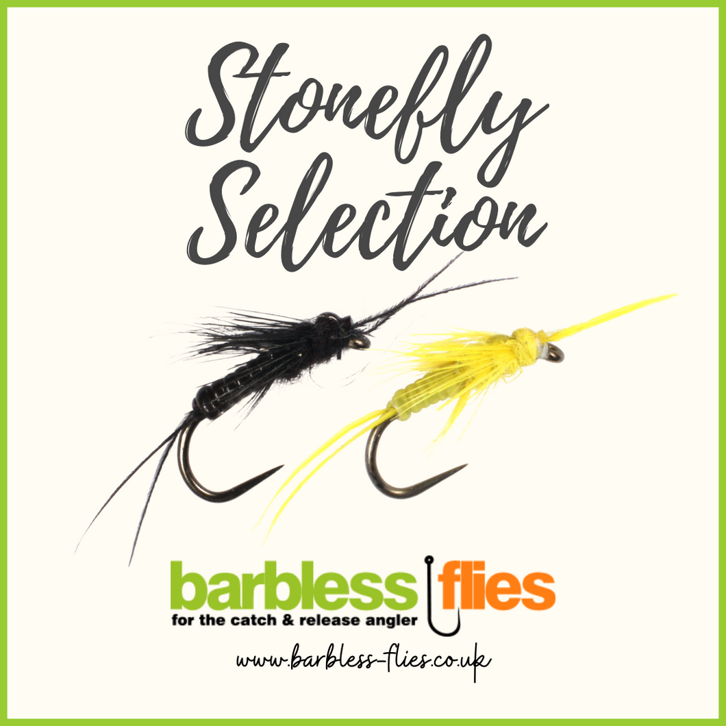 Stonefly Selection