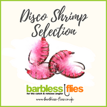 Load image into Gallery viewer, Disco Shrimp Selection
