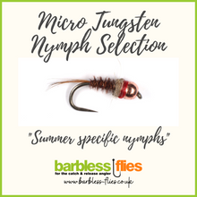 Load image into Gallery viewer, Micro Tungsten Nymph Selection
