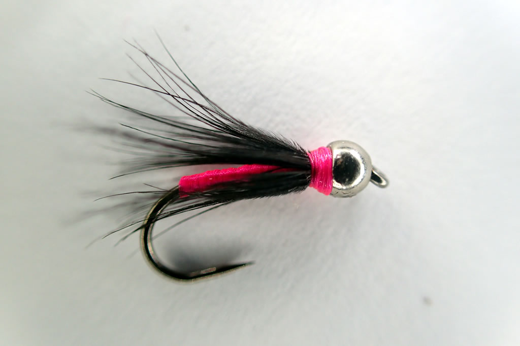 Black Tungsten Spider