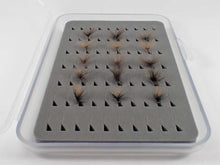 Load image into Gallery viewer, Amir Begic - Micro Dry Selection
