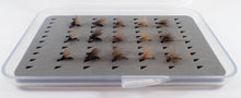 Load image into Gallery viewer, Amir Begic - Micro Dry Selection
