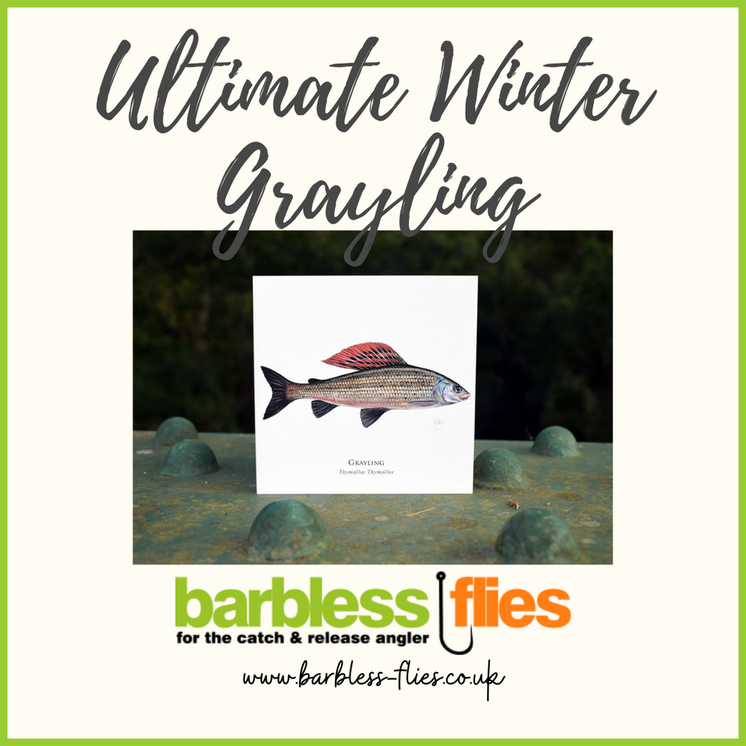 Ultimate Winter Grayling Selection - New for 2023
