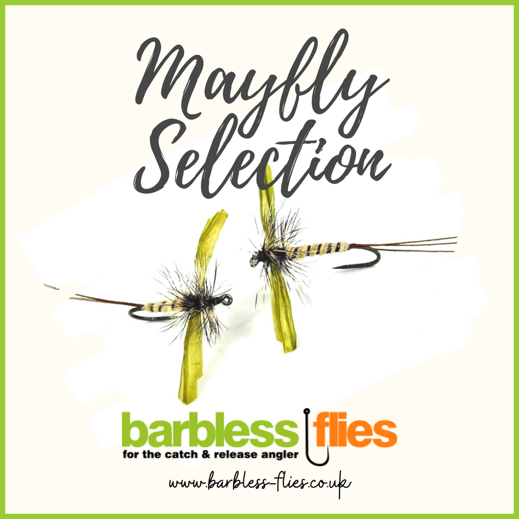 Mayfly Selection