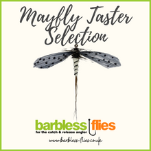 Load image into Gallery viewer, Mayfly Taster Selection
