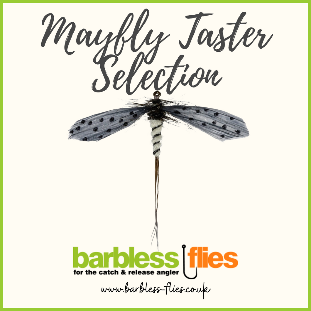Mayfly Taster Selection