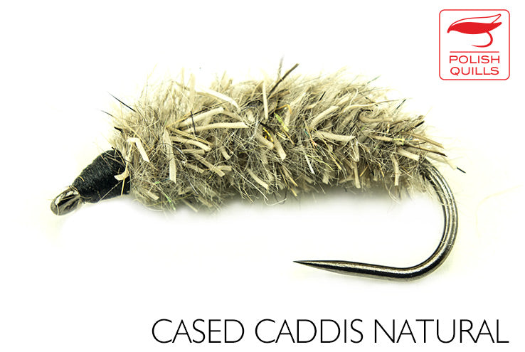 Cased Caddis