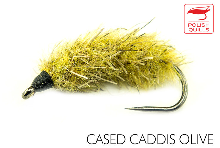 Cased Caddis