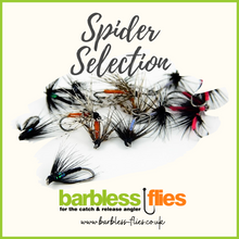 Load image into Gallery viewer, Spider Selection

