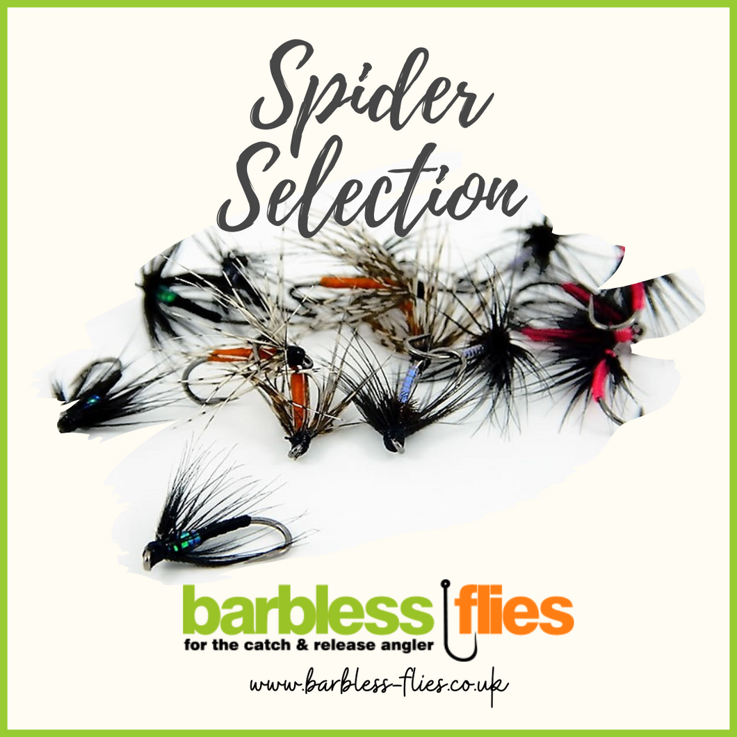 Spider Selection