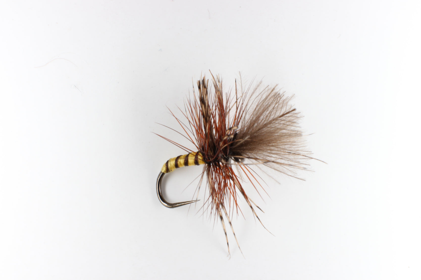 Grunter - Yellow Owl