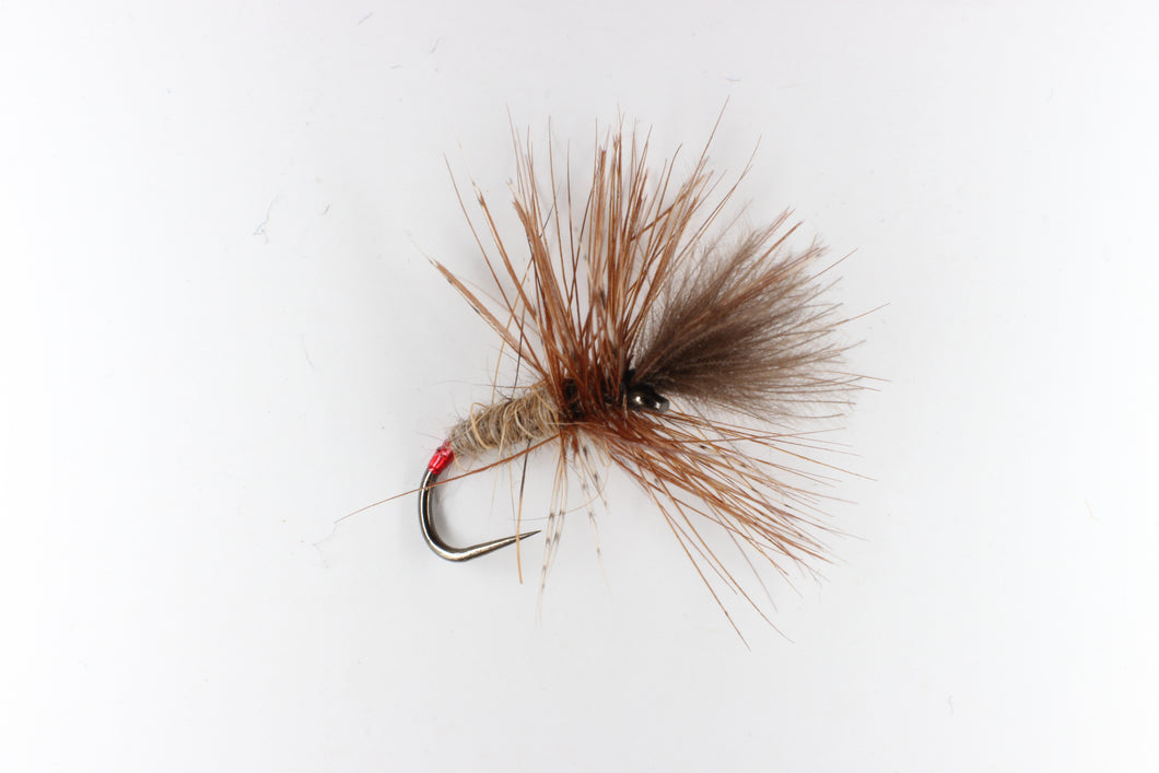 Grunter - Original