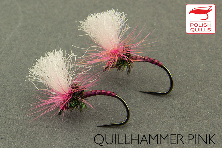 Quillhammer